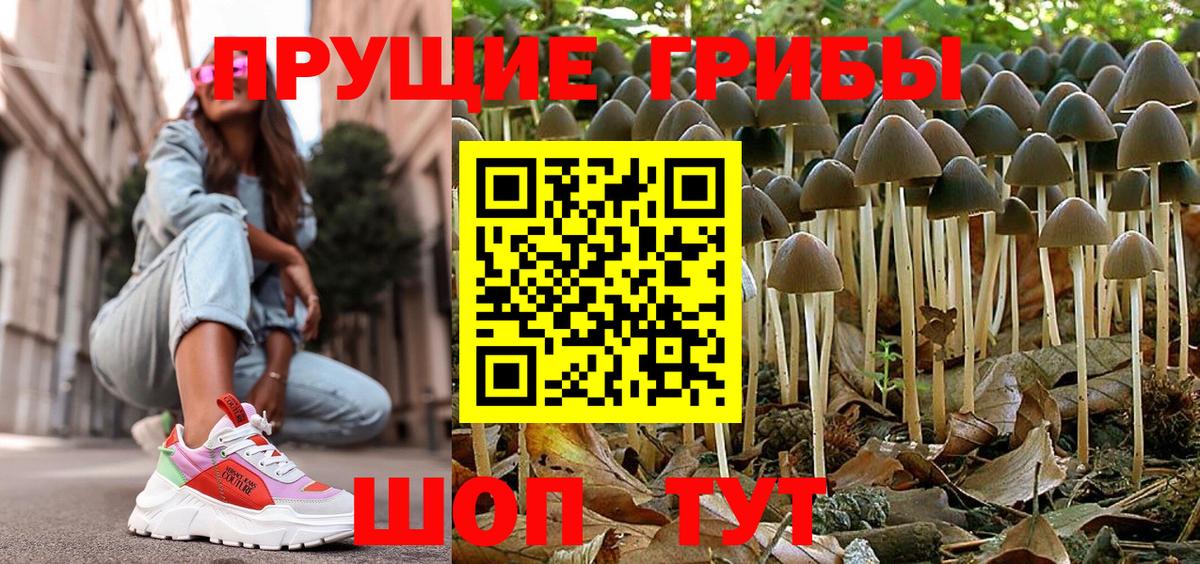Биробиджан  Псилоцибиновые грибы мицелий  Вход с VPN  Псилоцибиновые грибы мухоморы 