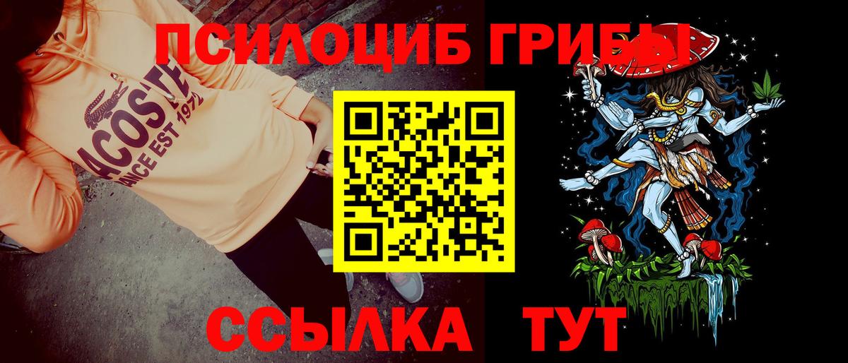 Псилоцибиновые грибы GOLDEN TEACHER Биробиджан