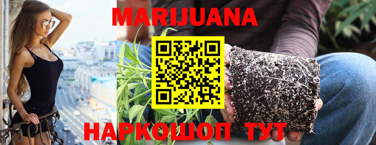 Бошки марихуана конопля Биробиджан